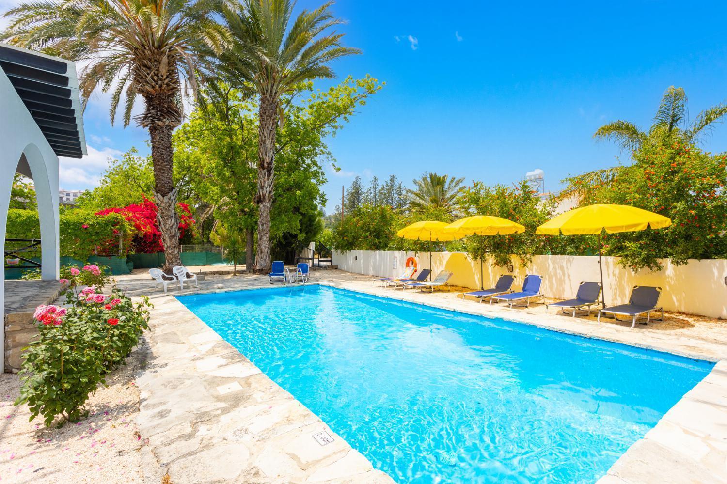 Villa Anemone Polis Luaran gambar